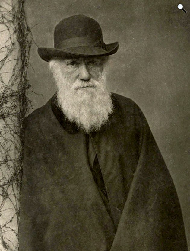 Charles Darwin (1809-1882) angol természettudós, az evolúcióelmélet egyik kidolgozója és névadója, 1881 (Fotó: Francis Darwin/Messers, Elliot és Fry