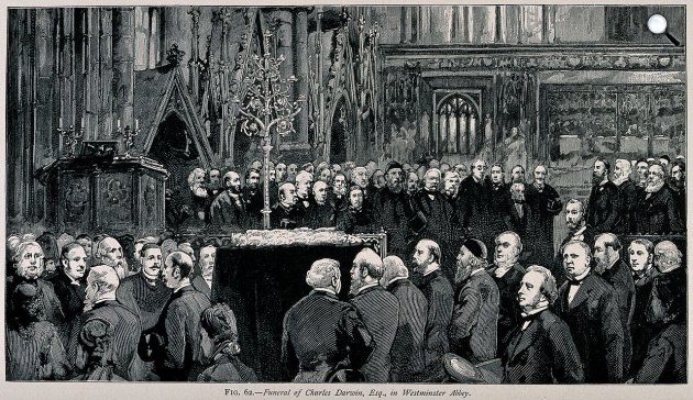 Charles Darwin temetési szertartása a Westminster Abbeyben, 1882 (Fotó: Wellcome Collection/Wikimedia)