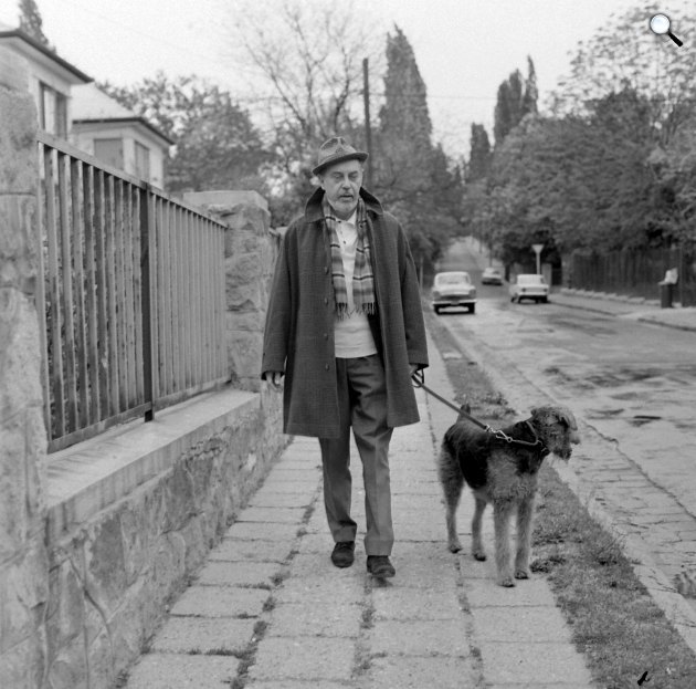 Várkonyi Zoltán (1912-1979) Kossuth-díjas színész, rendező, színházigazgató és színészpedagógus a kutyájával sétál, 1972 (Fotó: Fortepan/Kotnyek Antal)