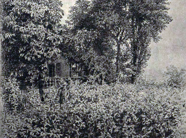 Jókai Mór (1825-1904) író a Svábhegyen szőlője között (Fotó: Morelli Gusztáv/Vasárnapi Ujság/OSZK)