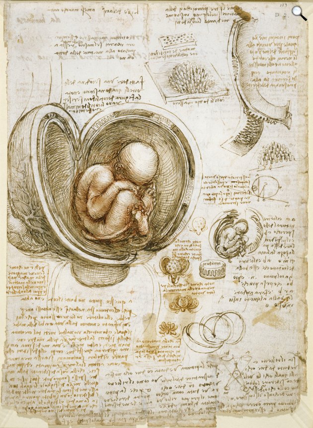 Leonardo da Vinci: A magzat tanulmányozása az anyaméhben, 1510-1513 (Fotó: Royal Library, Windsor Castle/Wikimedia)