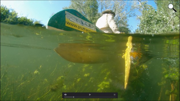 Duna - A folyó lelassult, ülepedni kezdett (Fotó: Viasat Nature)