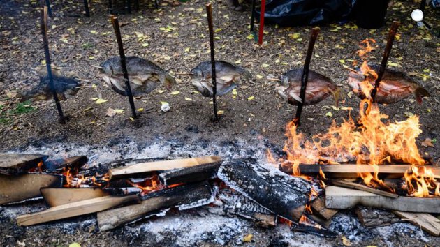 Halak sülnek nyárson az Öreg-tavi Halász és Halgasztró fesztiválon, 2024 (Fotó: MTI/Vasvári Tamás)