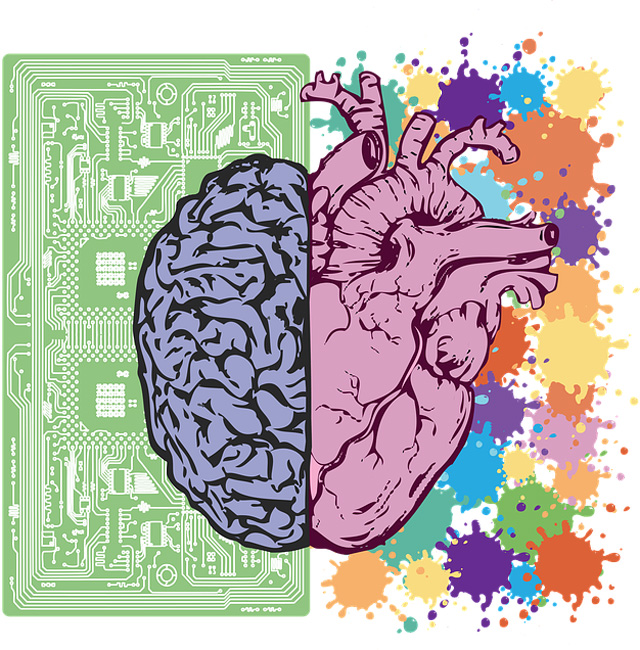 A szív és az agy lenyűgöző kapcsolata (Fotó: Pixabay)