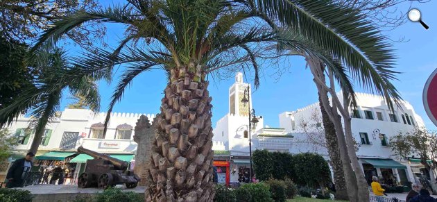 Marokkó ideális tengerparti nyaralásra (Fotó: Seszler Szilvia)