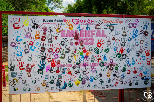 Ürömi Állatotthon gyereknapja (Fotó: Ürömi Állatotthon)