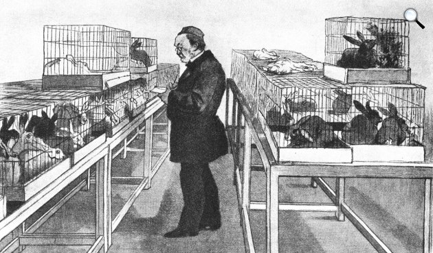M. Renourad: Louis Pasteur a tesztelt állatok között, 1884 (Fotó:KRUIF, Paul de. Mikrobenjäger. Orell Füssli, Zürich, 1927)