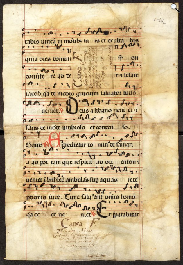 Fragmenta Codicum A 233 – Antiphonale Budense. (Fotó - OSZK Copia)