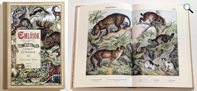 Reprezentatív album (Fotó: TINTA Kiadó)