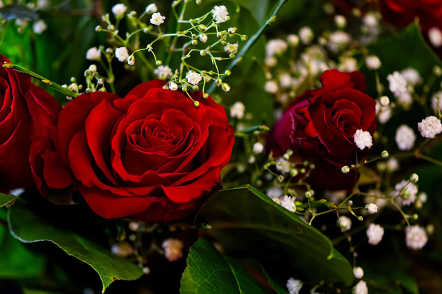 Vörös rózsa, ünnepi csokor, (Fotó: illusztráció, Pixabaay/Alexas-fotos)