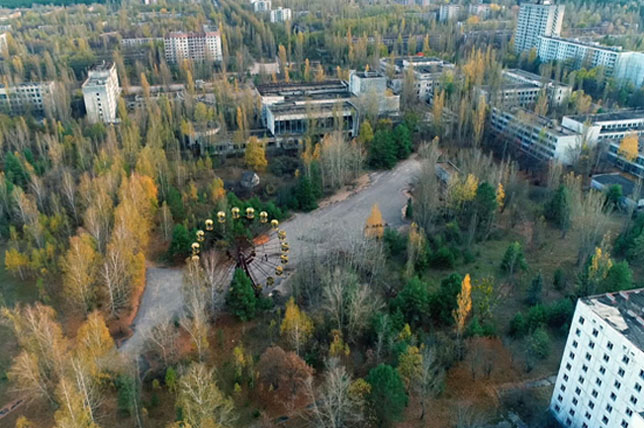 Pripjaty, a szellemvaros. A csernobili zóna erdeit az ember távozása óta számos állatfaj vette újra birtokba (Fotó: Viasat History)