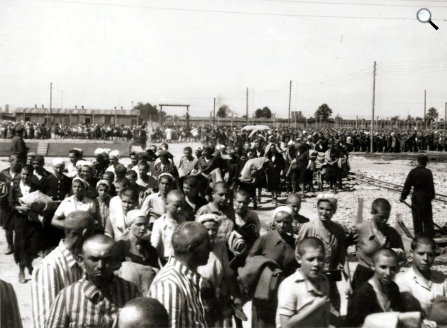 2. világháború során az auschwitz–birkenaui koncentrációs tábor. Az Auschwitz-album felvételeit az auschwitzi SS Azonosítási Szolgálat vezetője, Bernhard Walter és asszisztense, Ernst Hoffmann készítette. 1944 (Fotó: Fortepan/Lili Jacobs)