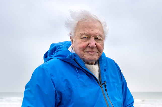 Sir David Attenborough 100 éves