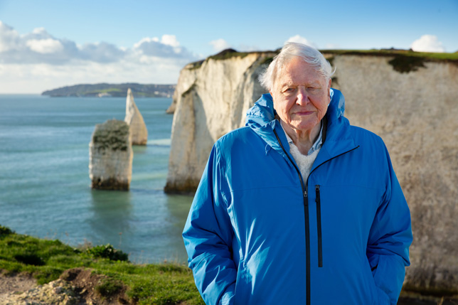 David Attenborough Dél-Anglia tengerpartján áll. (Kép: Silverback Films és Open Planet Studios/Keith Scholey)