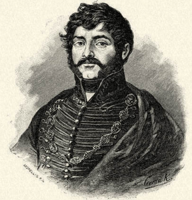 Morelli Gusztáv: Berzsenyi Dániel (1776–1836) költő, a niklai remeteként is ismert költő (Fotó: OSZK)
