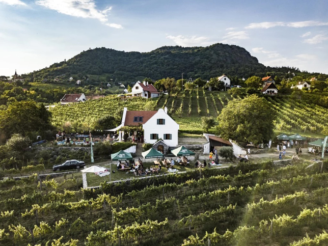 Szent György-hegy, a Balaton-felvidék egyik jellegzetes tanúhegye (Fotó: Best of Balaton)