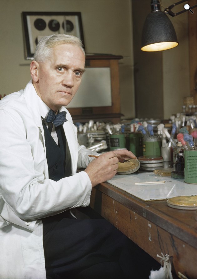 Sir Alexander Fleming (1881-1955) skót bakteriológus és immunológus. Felfedezte az antibakteriális lizozim enzimet, valamint 1928-ban az első antibiotikumot, a penicillint (Fotó: Wikimedia/Imperial War Museum)