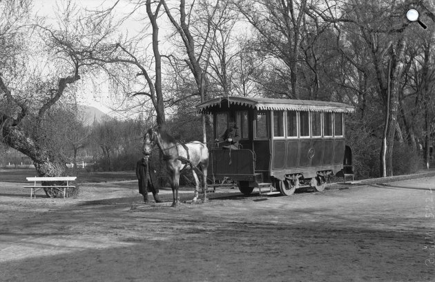 Lóvasút közlekedési eszköz a Margitszigeten, 1905 (Fotó: Fortepan/Deutsche Fotothek/Brück und Sohn)